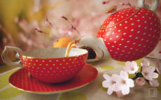 A moment of indulgence