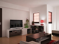 Living room renovation