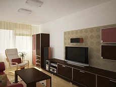 Partial apartment renovation